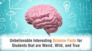 Scientific Facts Content Writer for a website